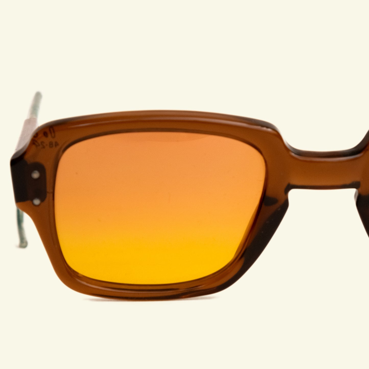 BEACHCOMBER GLASSES SEAANEMONE