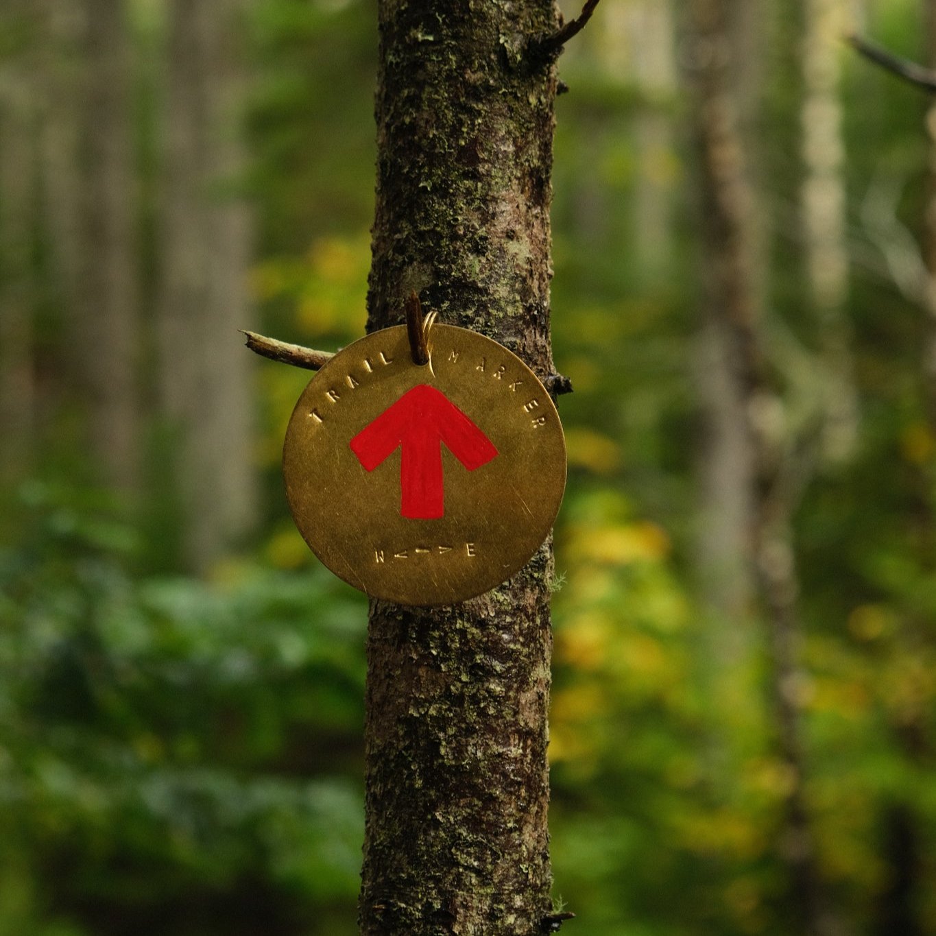Trail Marker Ornament