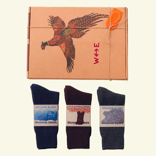 FIRETOWER BRUSHTAIL BOXSET