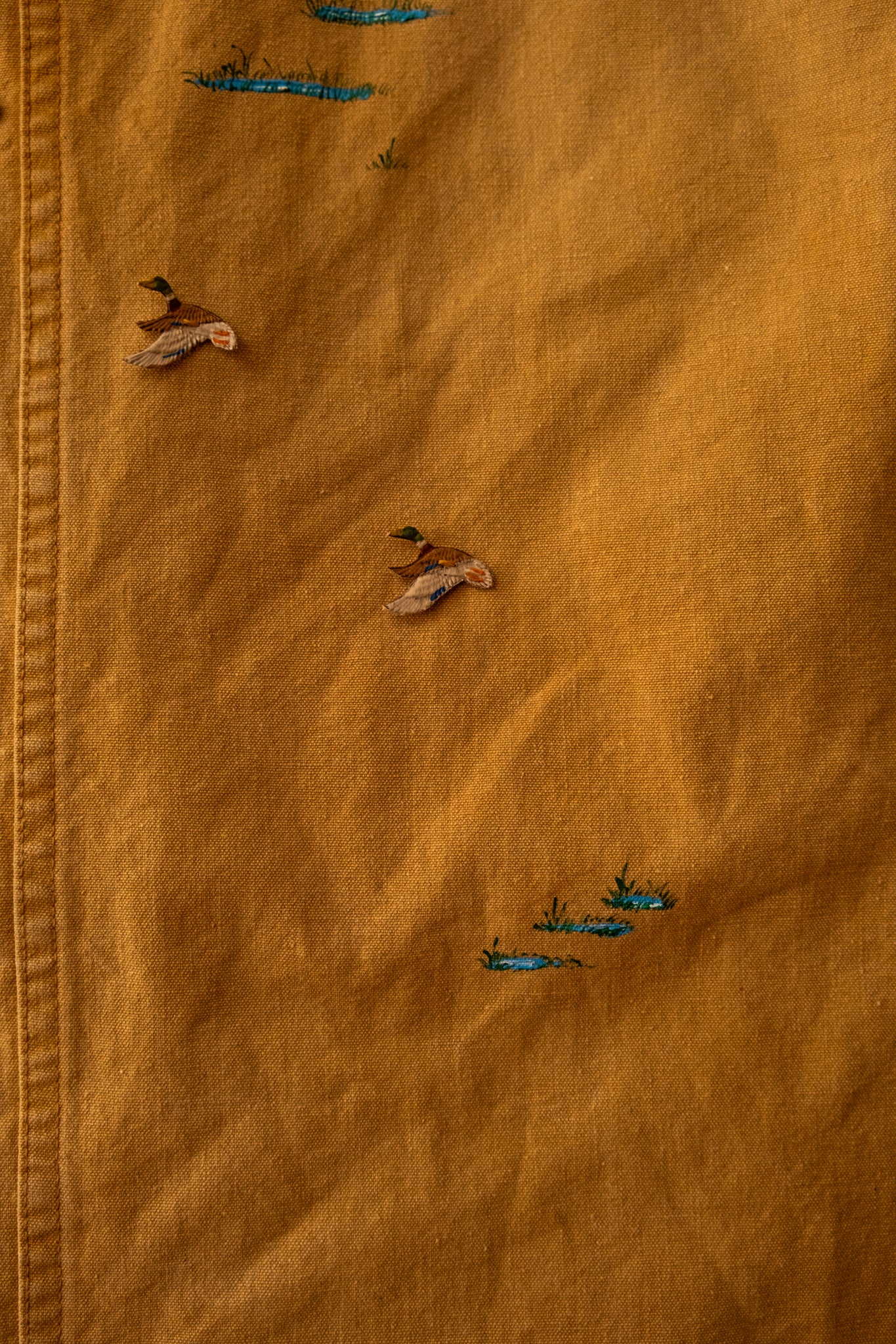 Lovebird 2279