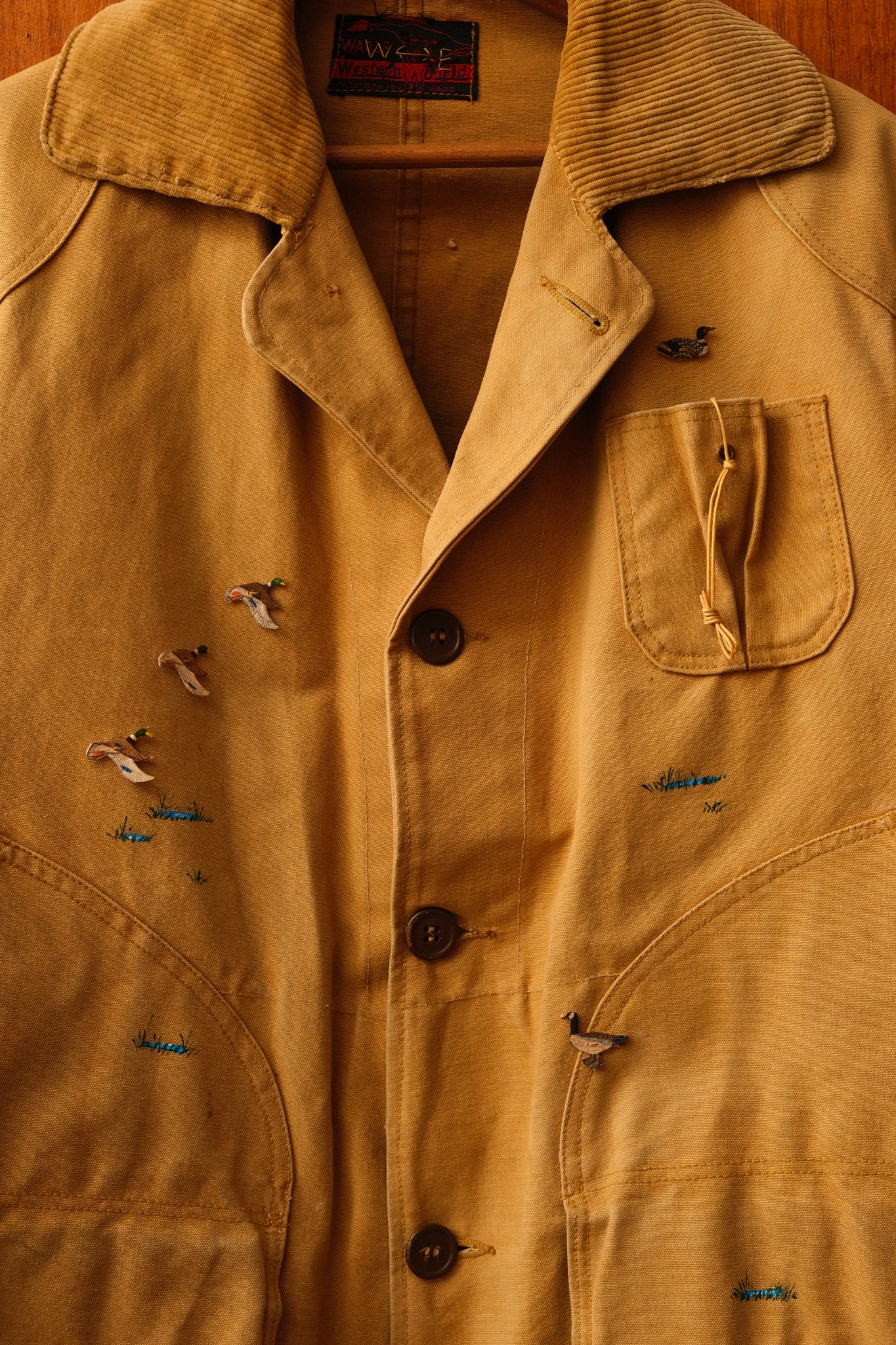 Lovebird 2293