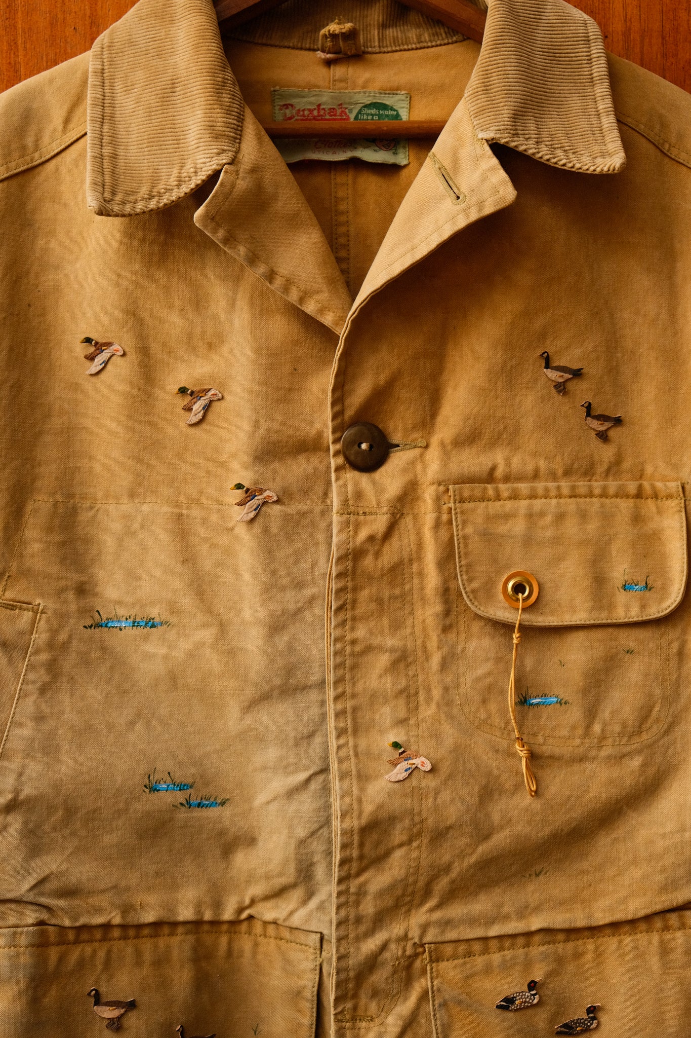 Lovebird 2291