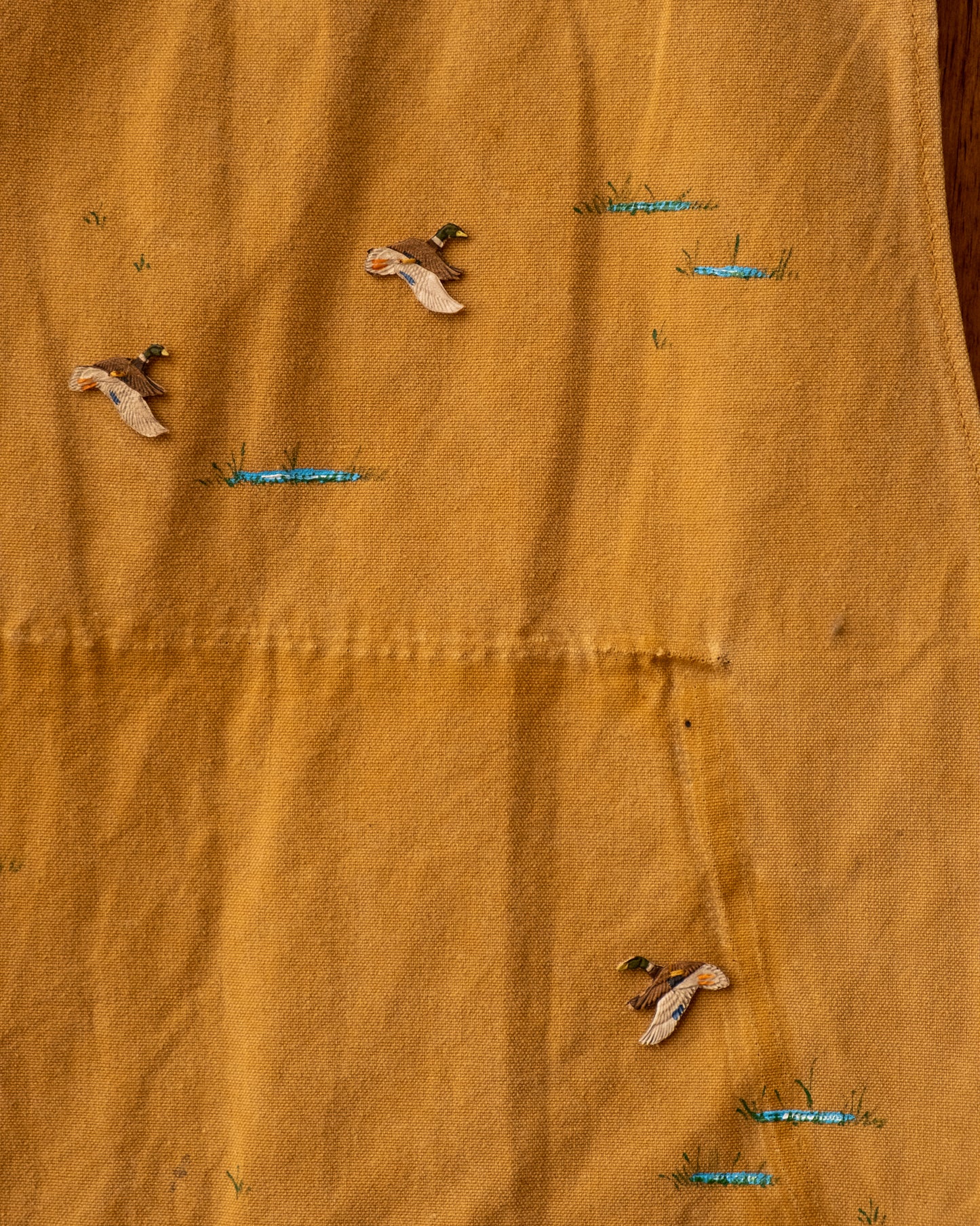 Lovebird 2254