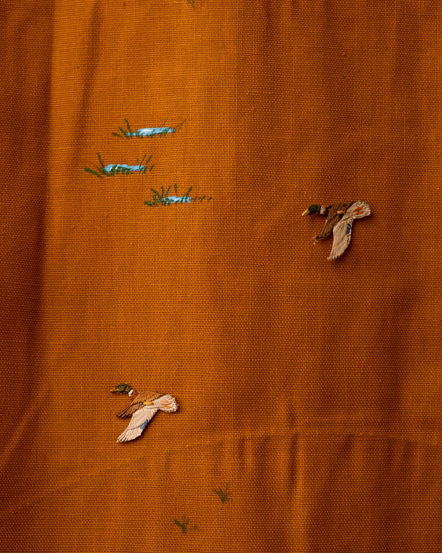 Lovebird 2258