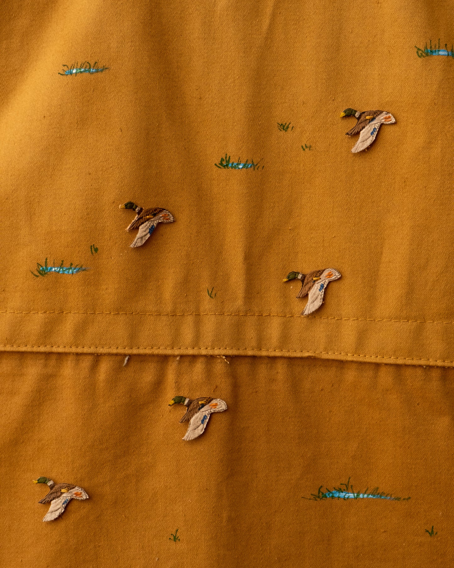 Lovebird 2259