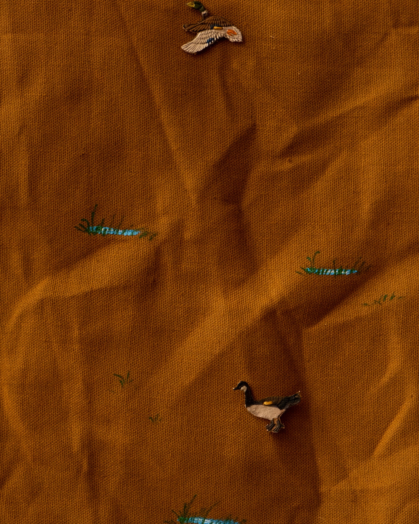 Lovebird 2262