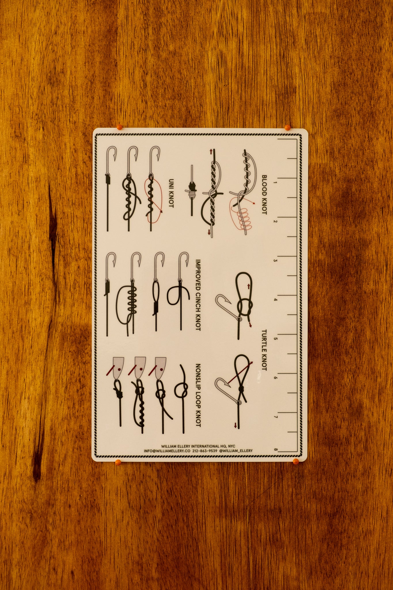 Field Identification Guide: Far Rockaway, NYC