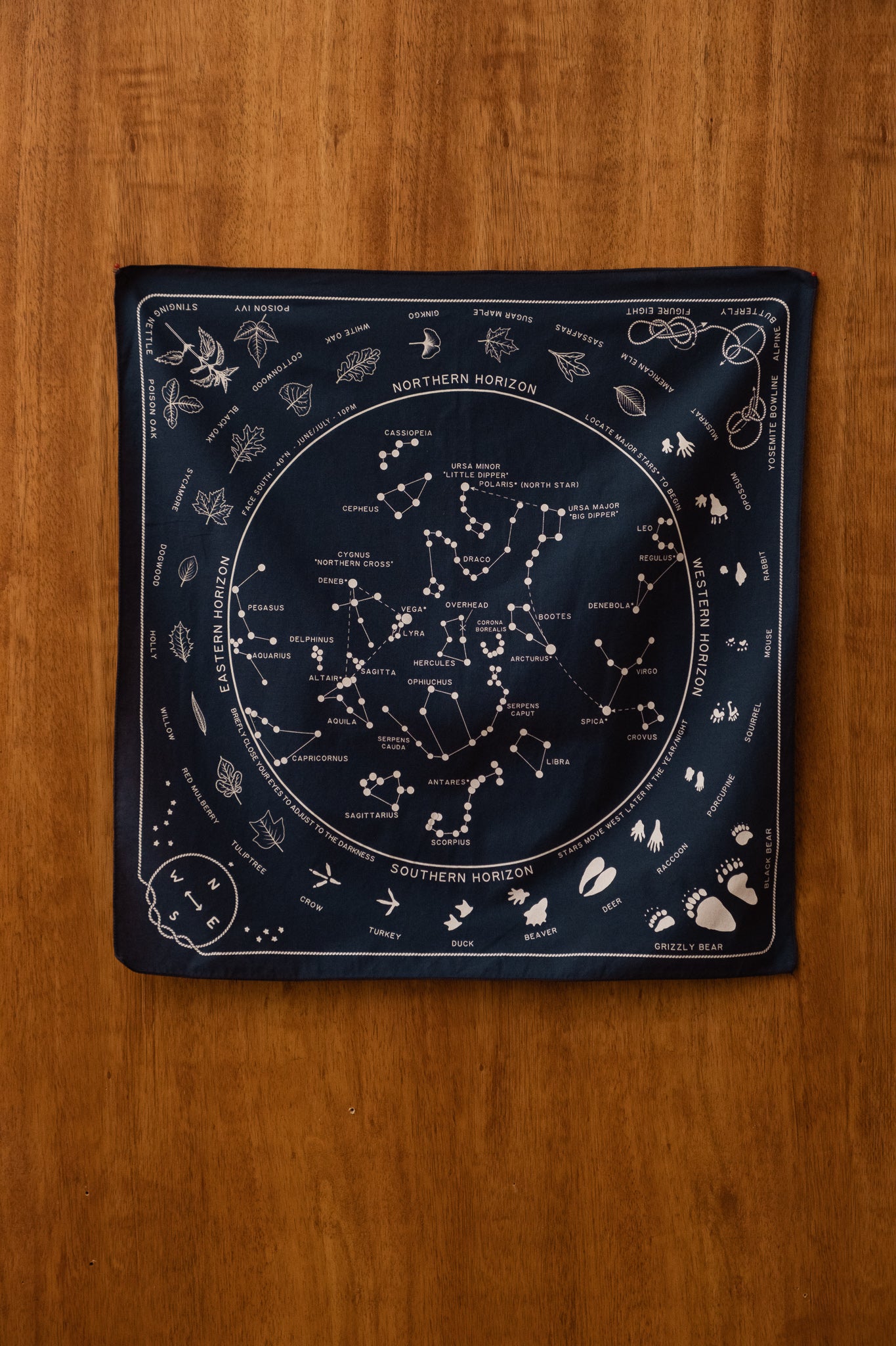 Reference Bandana