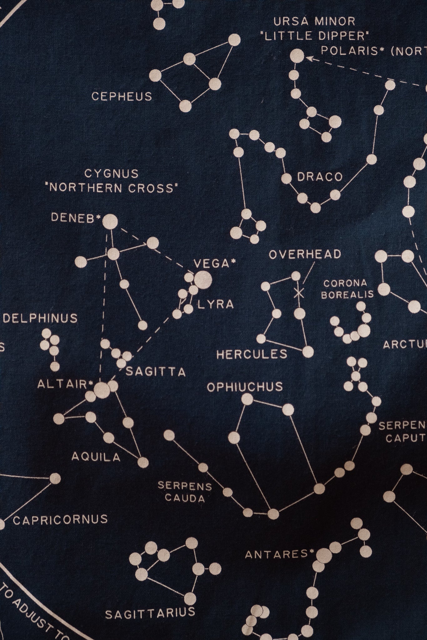 Reference Bandana