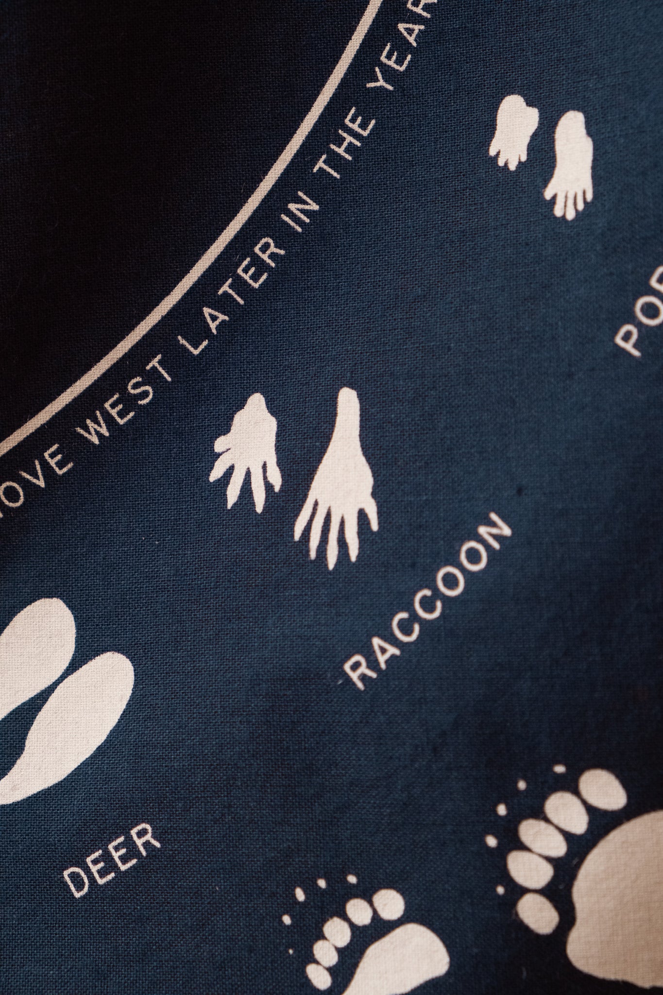Reference Bandana