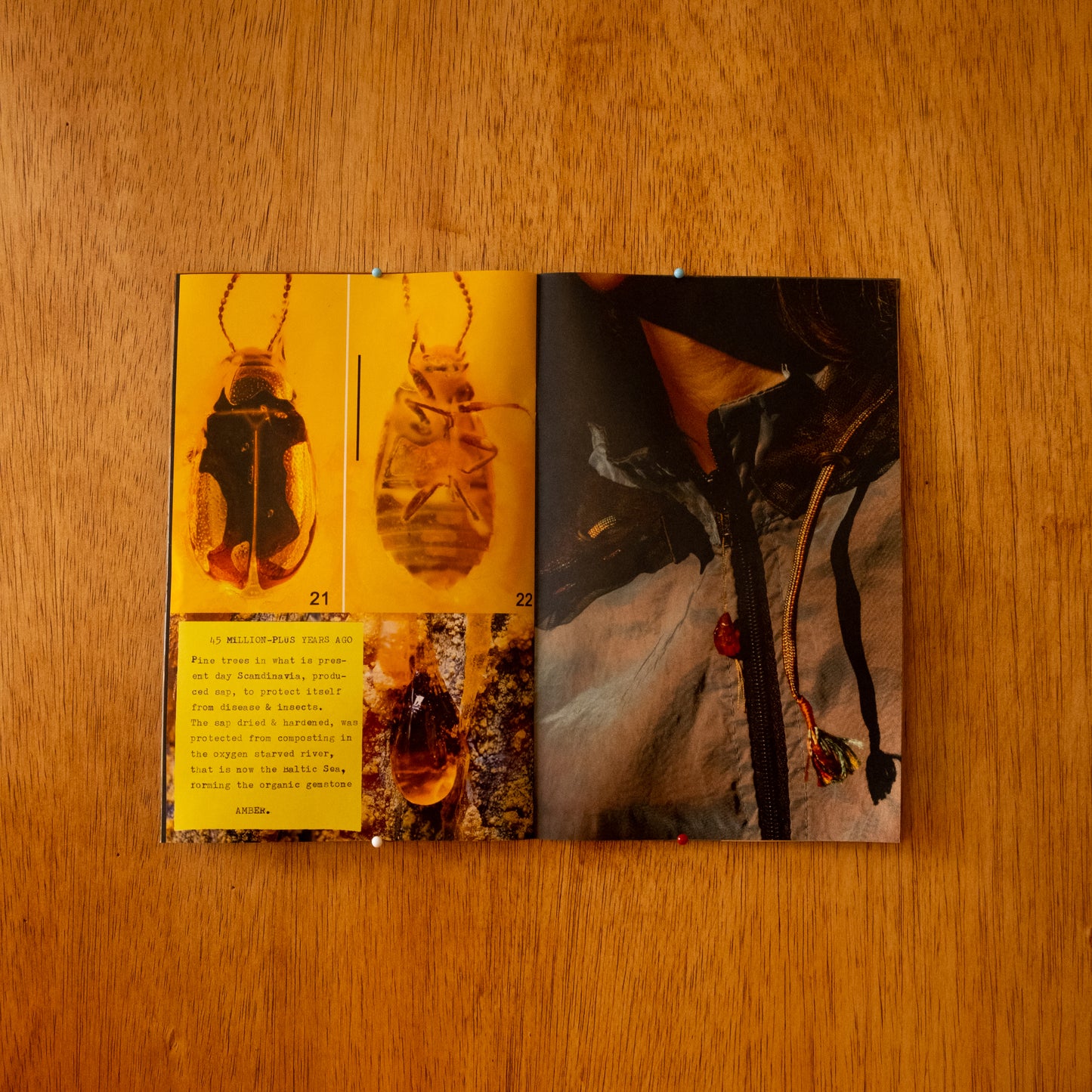 June 2022 Research Catalog