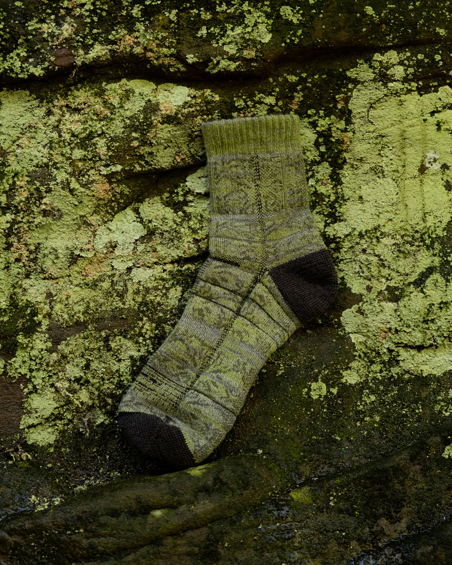 LICHEN SOCKS 9.1