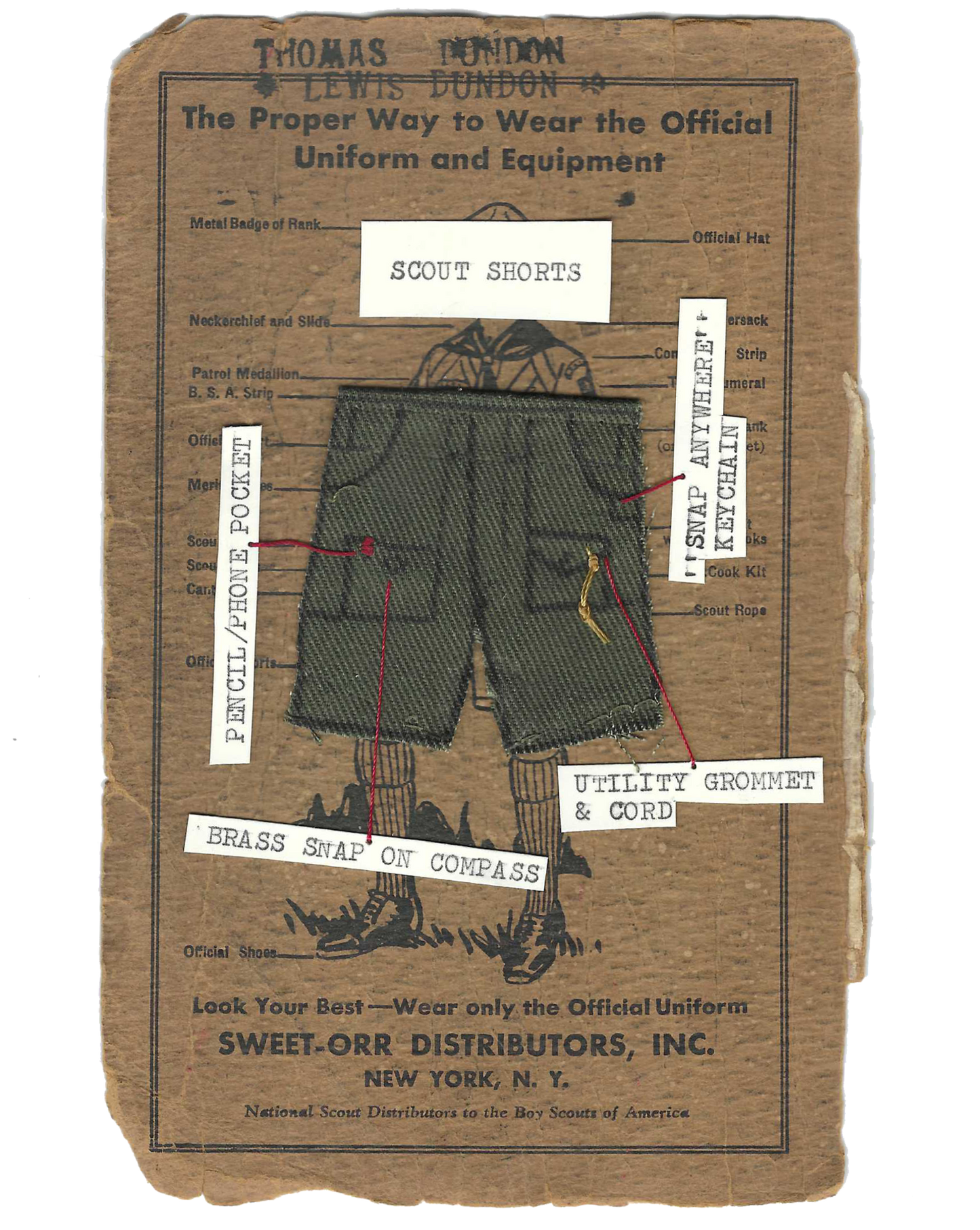 Scout Shorts