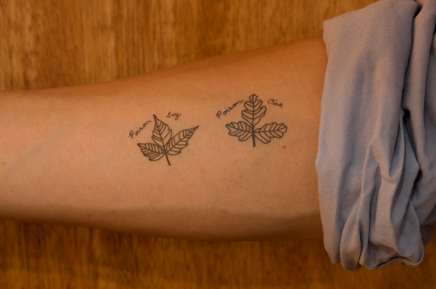 FIELD IDENTIFICATION TEMPORARY TATTOOS