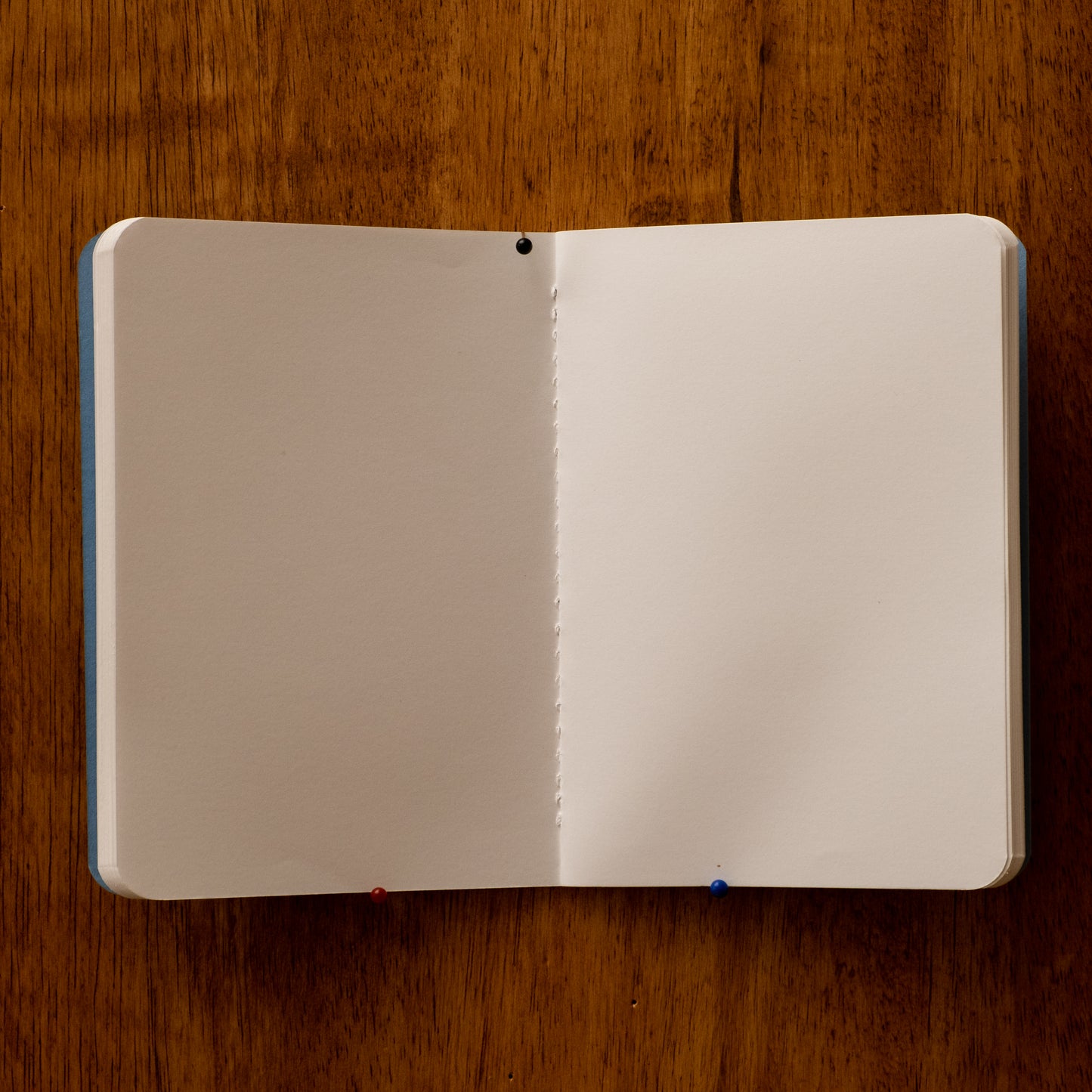 Astronomy Club Notebook