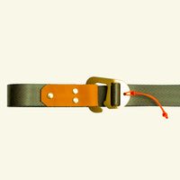 Alpine Belt