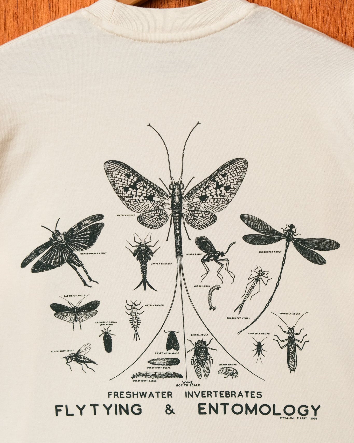 Fly Tying and Entomology Shirt