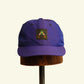 VIOLET BEETLE JuneBug Hat