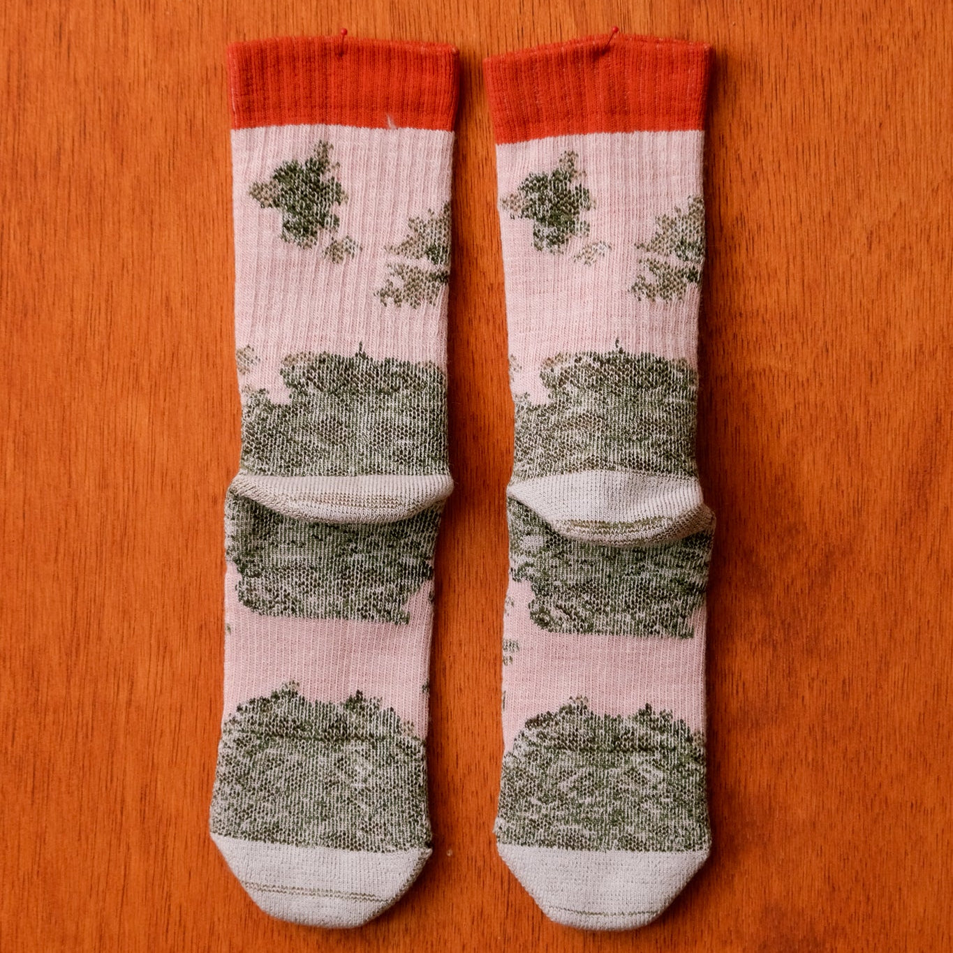 LICHEN SOCKS 18